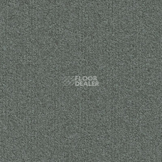 Ковровая плитка Modulyss Millennium Nxtgen Millennium Nxtgen 900 фото 1 | FLOORDEALER